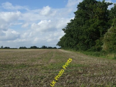 Photo 6x4 Farmland beside woodland, Grove Farm Thornham Magna Off Wickham c2015