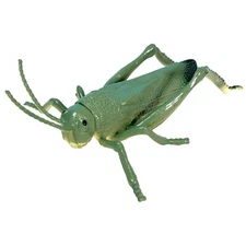 Beautifully Detailed Realistic American Grasshopper Insect Bug PVC Toy Figure