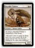 MAGIC TG: Guildpact #17 Skyrider Trainee- Common.M2A