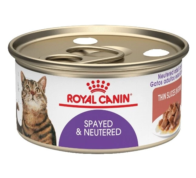 Royal Canin Cat Wet Food Supplies