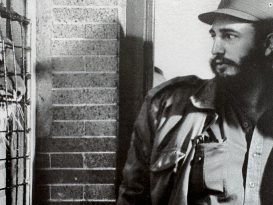 Fidel Castro y el tigre enjaulado - Momento simbólico de Korda estampado vintage Foto 4 de 4