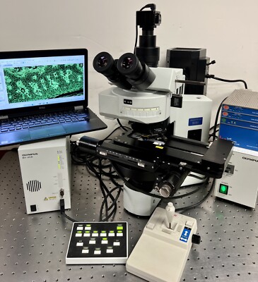 Olympus BX61 Microscope Nomarski DIC Fluorescence + LUDL Mac 5000 scanning