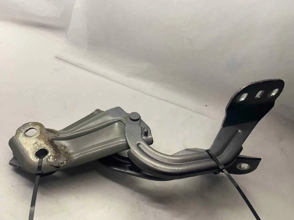 Ford Focus SE 2012-2018 capó delantero capó liberación bisagra panel derecho e izquierdo OEM Foto 2 de 4