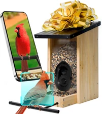 Smart AI Bird Feeder with Camera Solar Powered, Fine Wood Camera Birds Feeder Ou