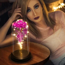 Romantic Forever Rose Flower In Dome Glass LED Night Light Girlfriend Mom Gift