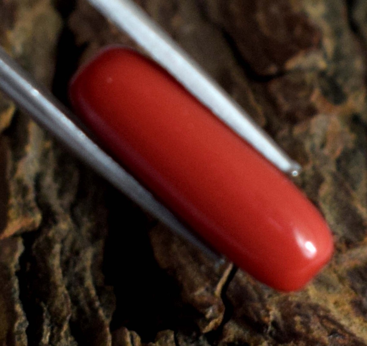 Italian Red Coral 4.80 Ct/17 mm Natural Cylindrical Gemstone