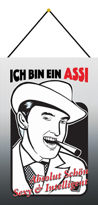 Blechschild 20x30 Absolut schön sexy + intelligent also ein ASSI lustiger Spruch