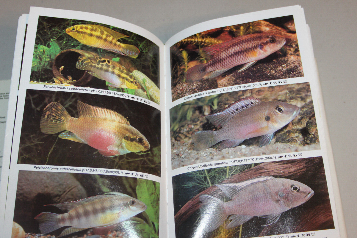 洋書　Dr. Axelrod's Mini-Atlas 淡水魚 Dr. Axelrod's Mini-Atlas of Freshwater Aquarium Fishes