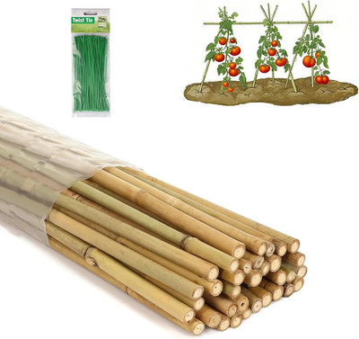4 Ft Bamboo Stakes with 100 Twist Ties Natural Bamboo Garden Stakes for Tomatoes