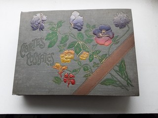 ALBUM DE 496 CPA FRANCE ENTIÈRE PAS DE PARIS