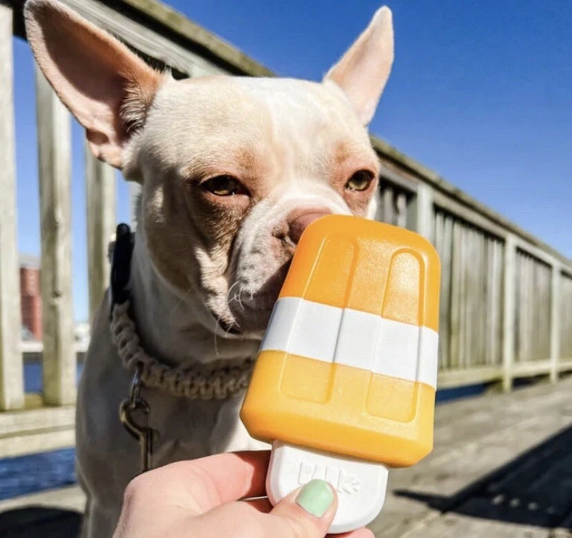 New Bark Box Super Chewer “ Creamsicle Pup ”Ice Cream / Popsicle Dog Toy  M/L Sz