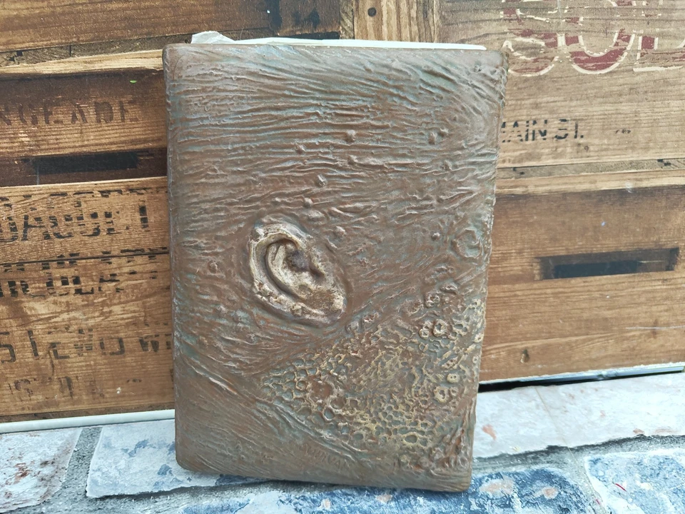 The Evil Dead Limited Edition DVD - Rubber Book of the Dead Sleeve Necronomicon - Image 2 of 4