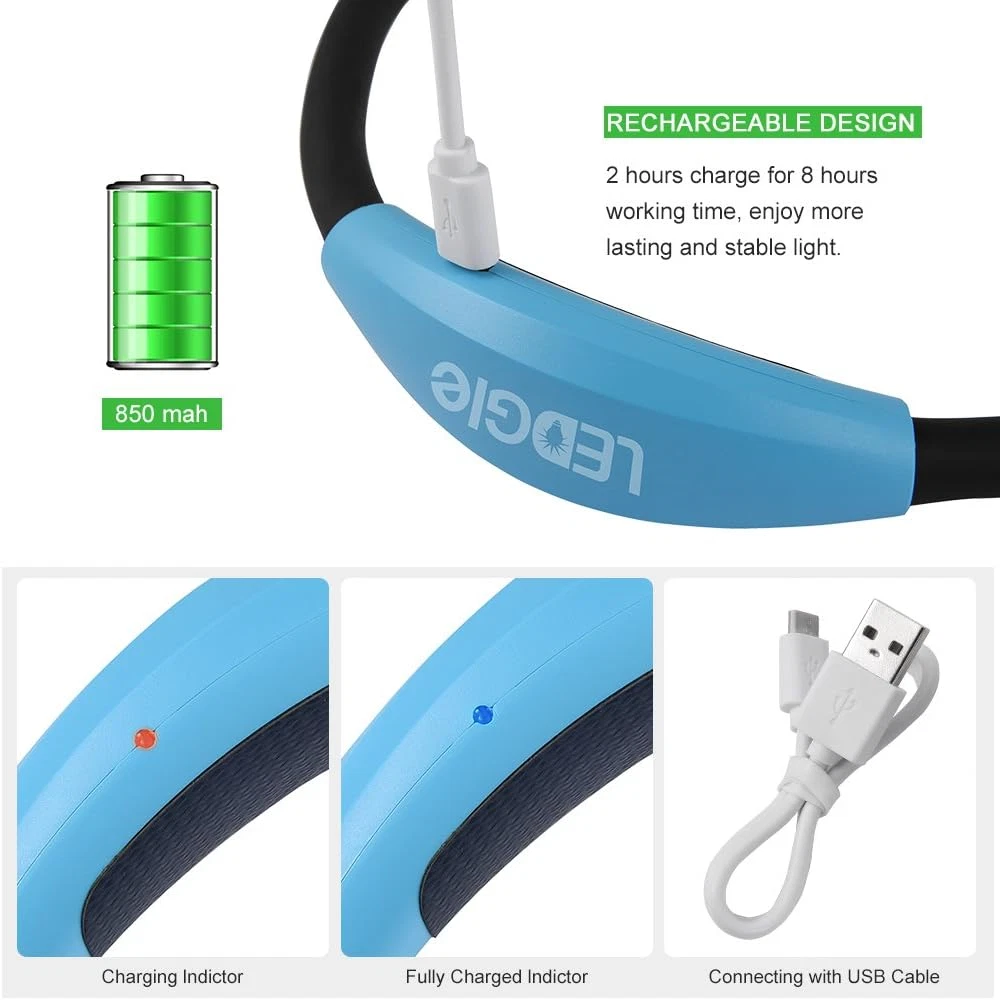 Ledgle neck cheap book light