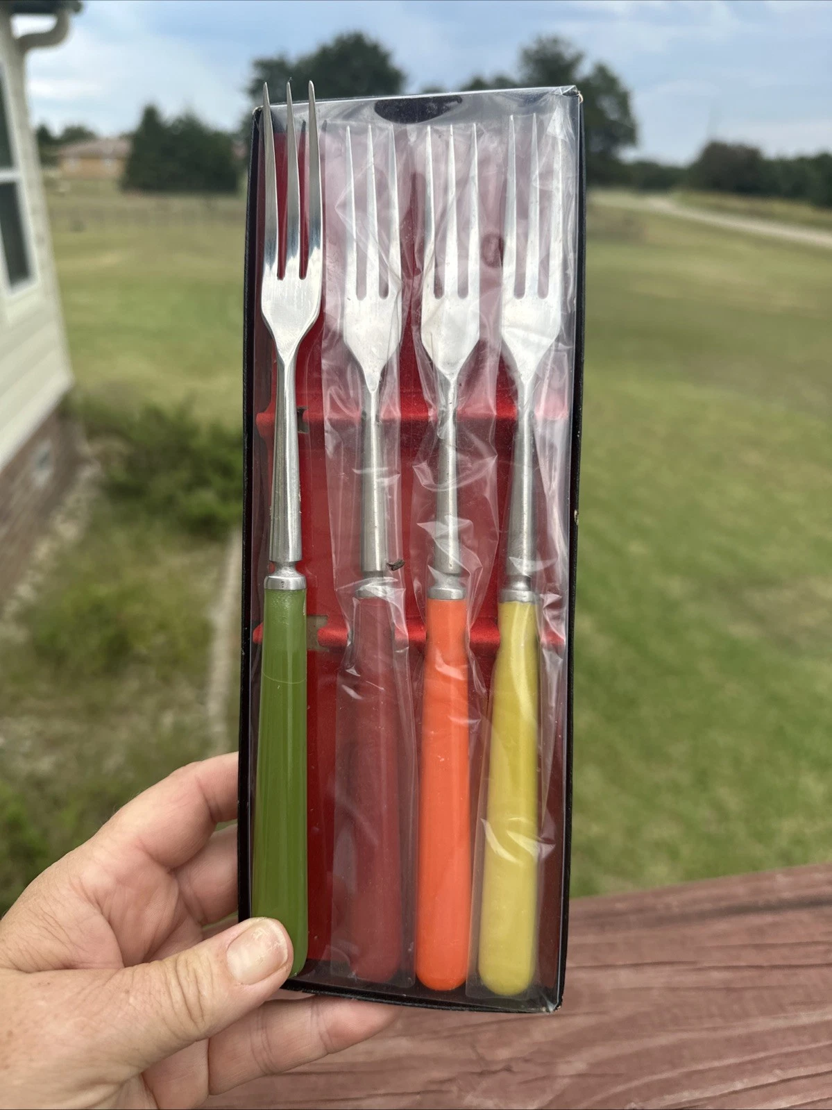Vintage Viking Stainless Steel Fondue Forks Bakelite Handles? Green Red Set Of 4
Opens in a new wind
