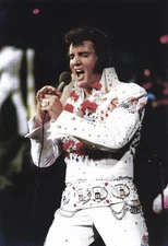 Elvis Presley Singing On Stage 4x6 PHOTO PRINT
