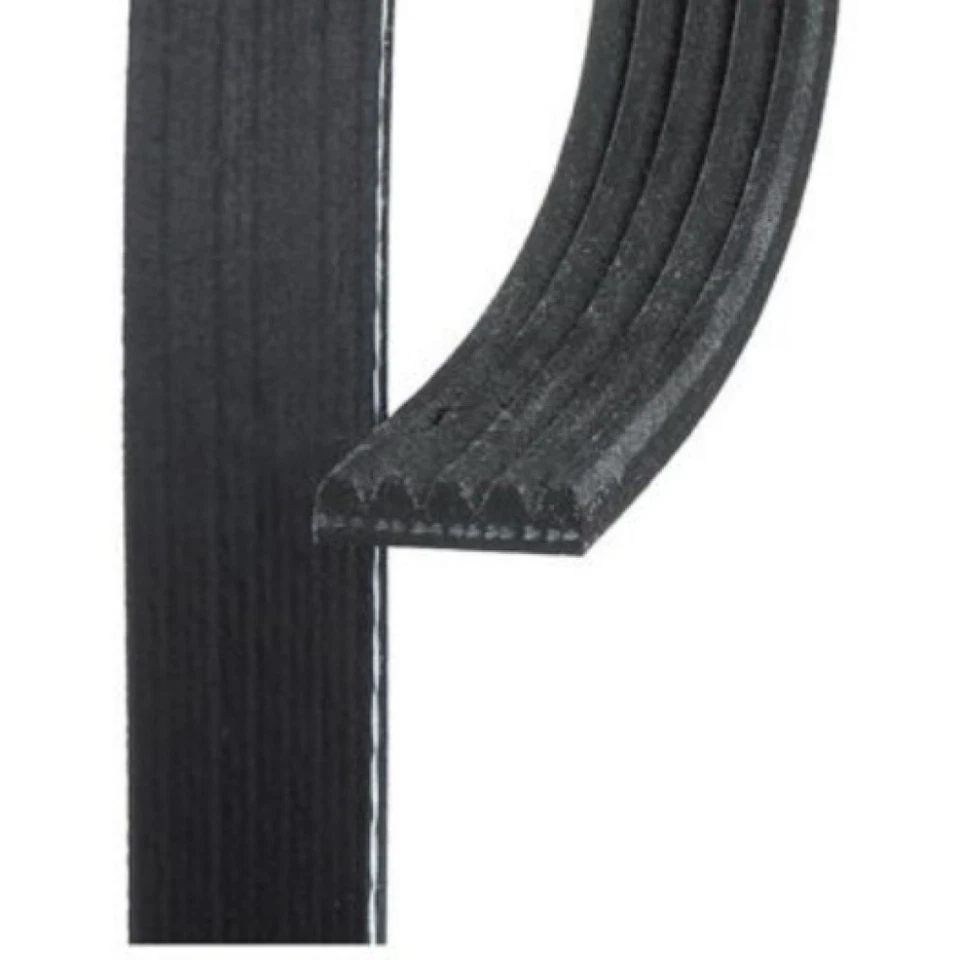 Cinturón serpentino acanalado en V estándar ACDelco genuino para Chevy Aveo 2007 | negro Foto 3 de 4