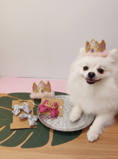 Set accessori per cani dolci: accessori per capelli fiocco corona per piccoli animali