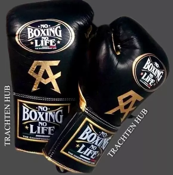 Customized Handmade Canelo No Boxing No Life Boxing Gloves | BLACK 