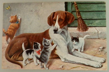 Kunst Postkarte Thema Katzen = Hund mit 4 jungen Katzen um 1920 (133882)