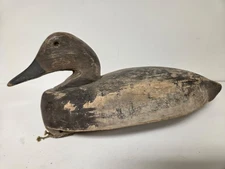 15" Wood Canvasback Duck Decoy