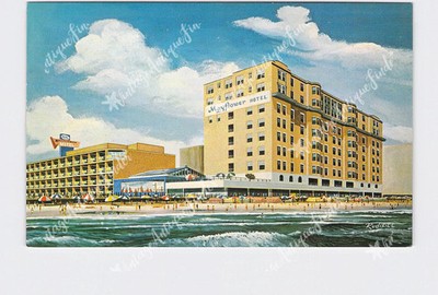 PPC Postcard NJ New Jersey Mayflower Hotel And Motel Artist Rendering Rudisill