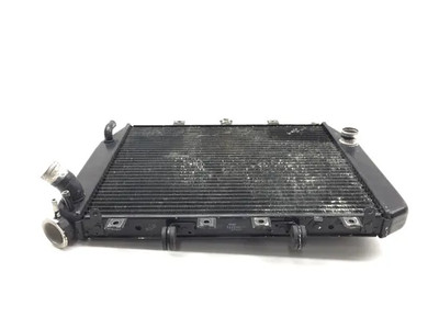 Engine Radiator Cooling 2002 Kawasaki Ninja ZX12R ZX1200B 3265 x