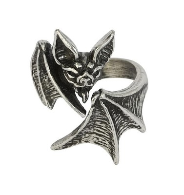 Alchemy Gothic Ring Damen Nighthawk Wrap Ring silberfarben