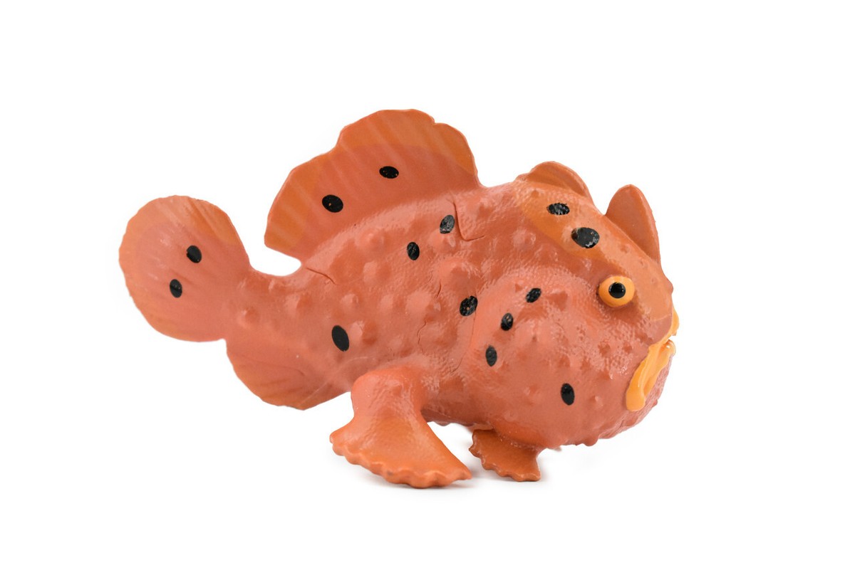 Stonefish, Realistic, Figurine, Replica, Educational, Gift,