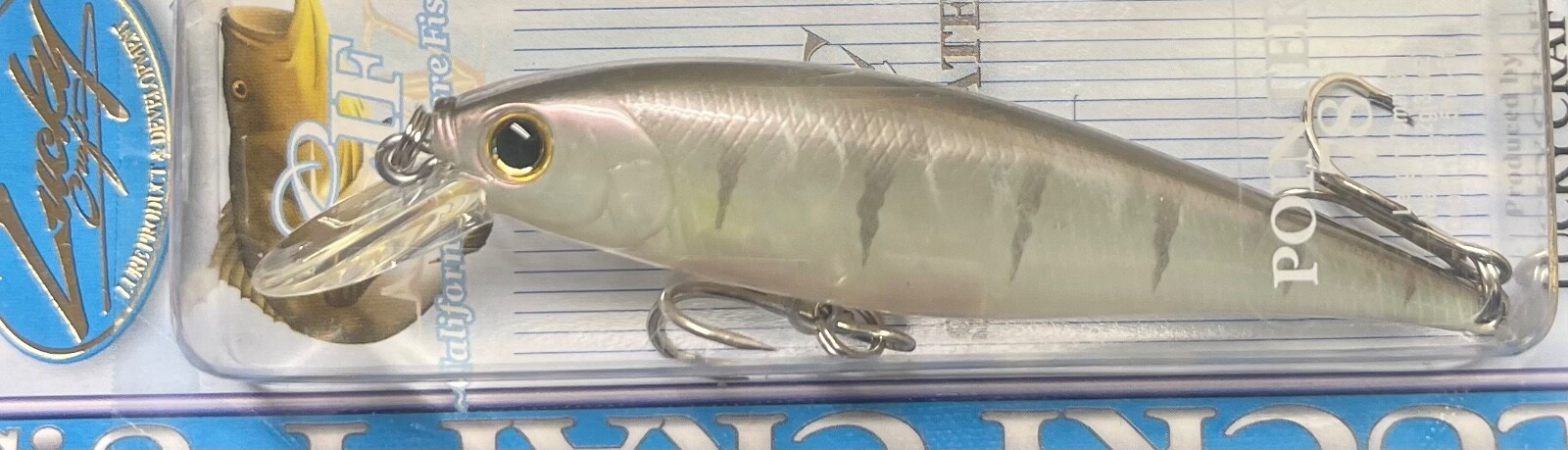 Ghost White Sea Bass