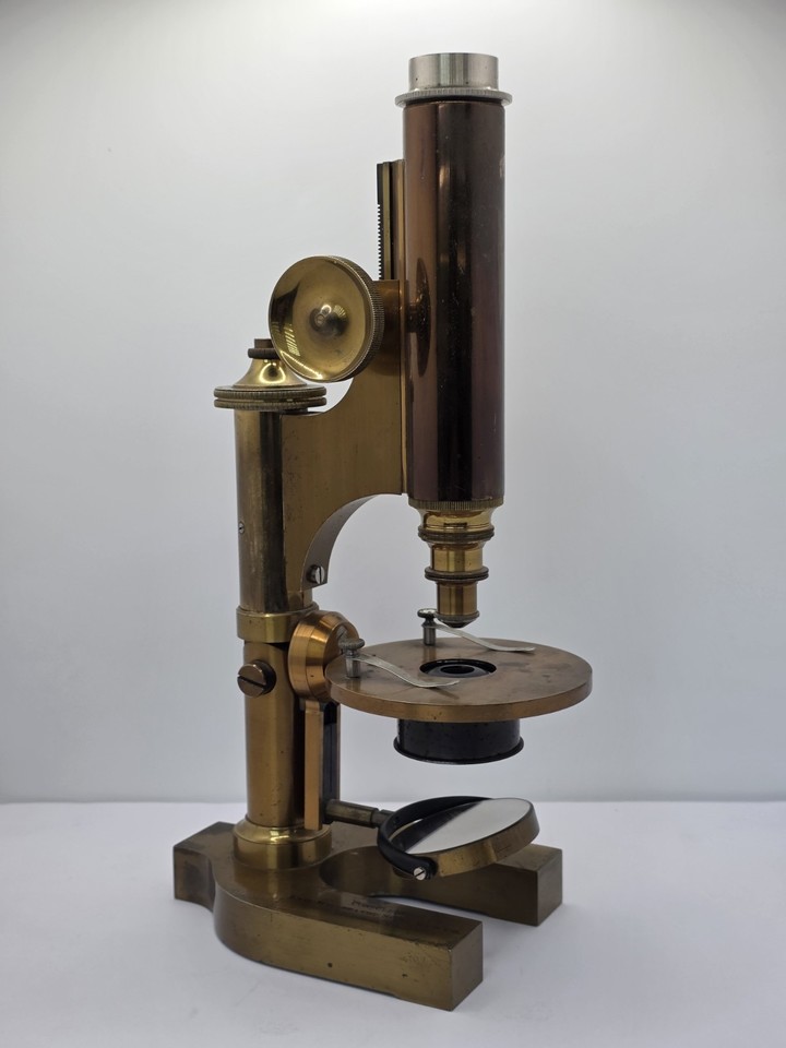 An 1900 brass microscope from Emil Willbrandt — a museum-worthy scientific relic that doubles as a jaw-dropping display piece, missing eyepiece and all.