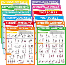 12PCS Workout Posters for Home Gym Dumbbells, Bodyweight, Stretching, Resistance