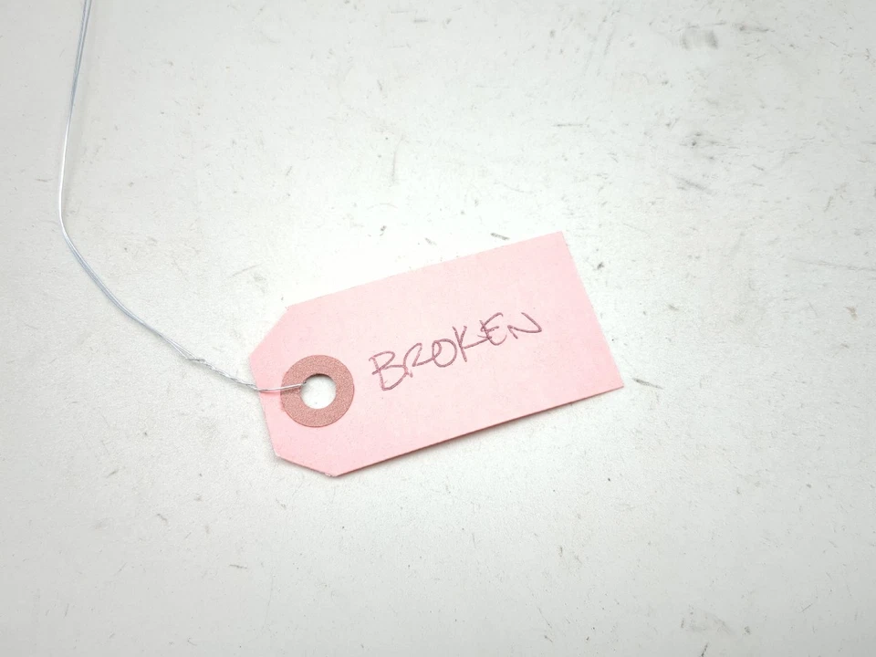 09-17 Triumph Thunderbird 1600 Respaldo Pasajero Trasero Barra Sissy 5984331 Foto 3 de 4