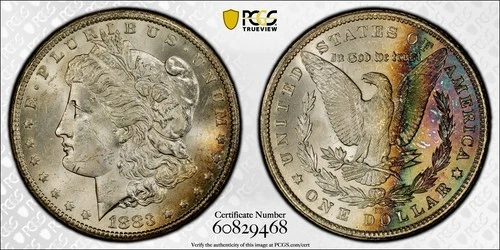 1883-CC Carson City Morgan Dollar  Toned Toner PCGS MS64 Silver Us Coin