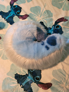 Curled Fursuit Tail
