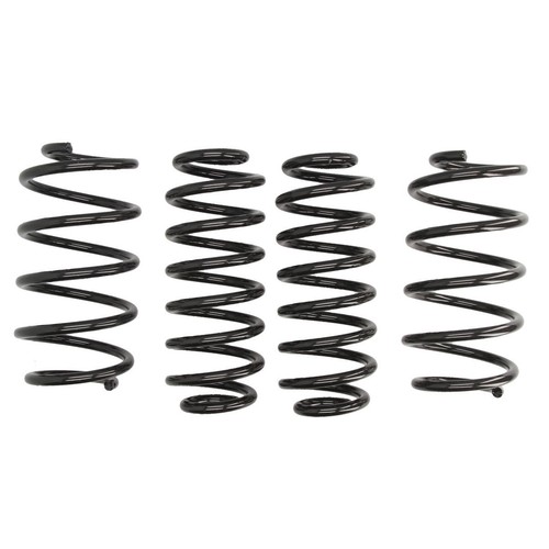 Molle Eibach Pro Kit E10 79 004 03 22 per SKODA Octavia