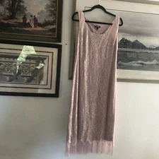 SLNY Pink Metallic Silver Floral Lace Fringe Flapper MIDI Dress Sz 12 A1580