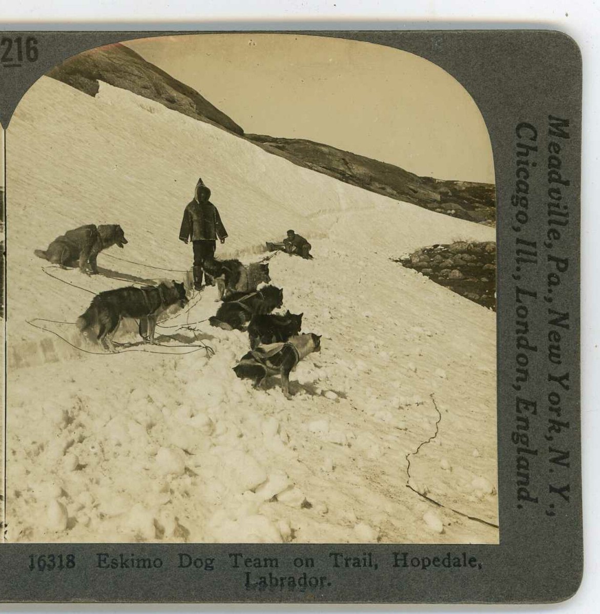 Eskimo Dog Team on the Trail Hopedale Labrador Keystone Stereoview