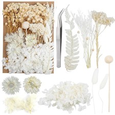 Trockenblumen Set Wei&szlig; f&uuml;r DIY Dekoration Hochzeit Geschenke Wand