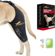 Knee Brace Torn ACL Hot/Cold Compress Medium  Large Dog Right Leg Medium