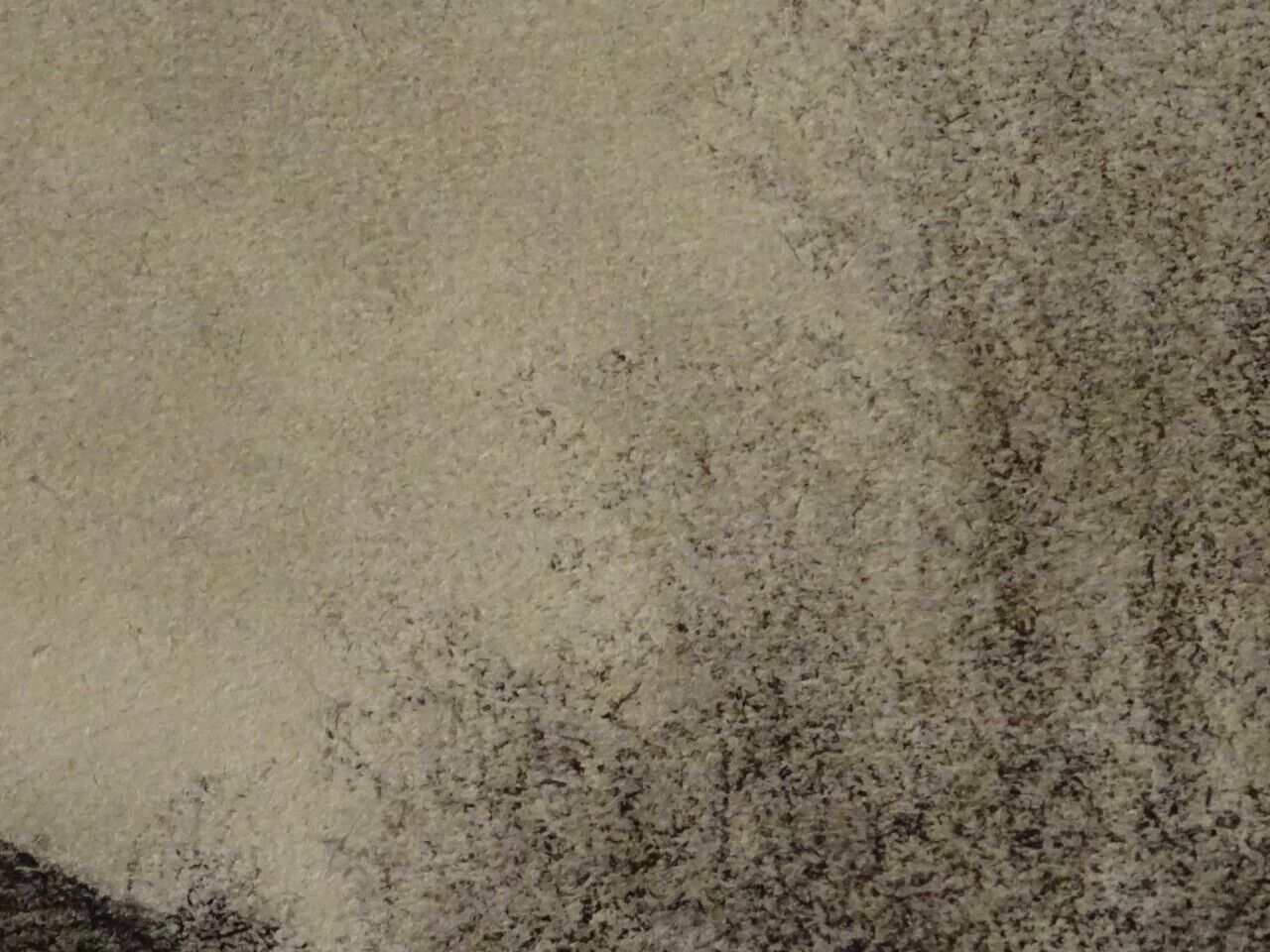 Foto 6 di 7
