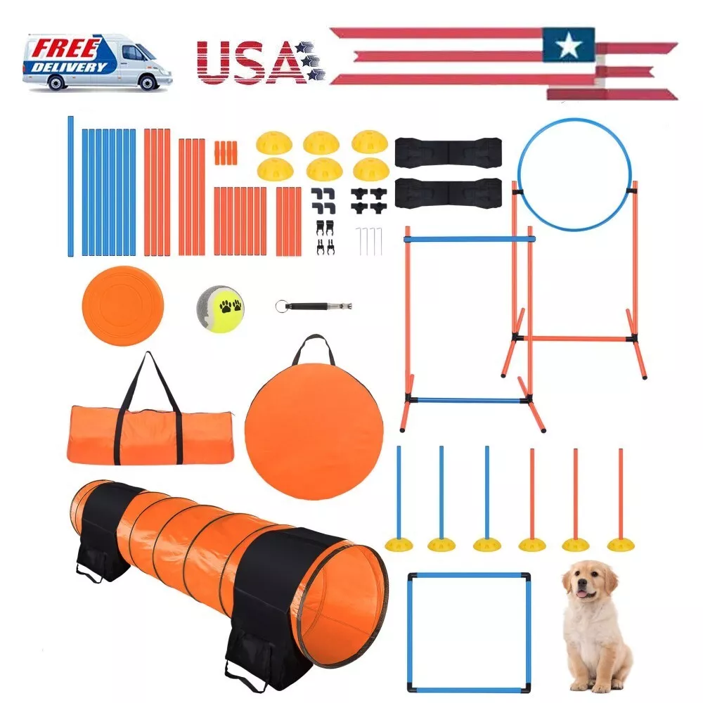 Dog agility cheap kits