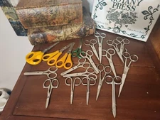 Vintage Lot of Scissors - Huge Variety - Various Brands - All of Them Open!