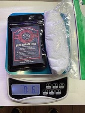 Brine Shrimp Eggs  Salt. Ready to hatch combo   90 hatch rate.