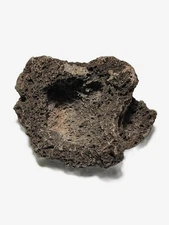 Medium Natural Lace Rock / Volcanic Rock– Unique Porous Stones for Aquariums