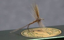  1 Dozen Quill Gordon Dry Flies