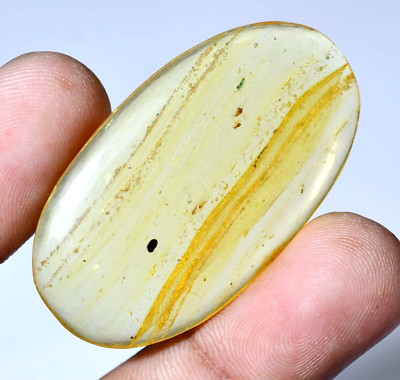 Untreated Natural Amber with Small Insect Inside 21.75 CT Certified Gemstone