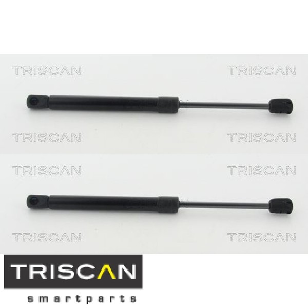 2X Gasfeder FüR Motorhaube Triscan 871011133 2 GasdäMpfer Motorraum FüR Bmw-image