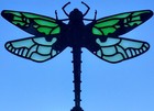 Wandering Glider Suncatcher Geocoin - Blk Nckl - Activated & Adoptable - TBACWB5 — photo 3