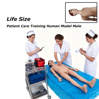 Patient Care Medical Teaching Model Human MAN Professional Training Nursing
