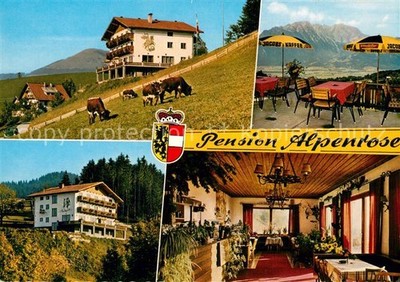 Sankt Koloman Gasthof Pension Alpenrose Terrace Alpine View Cattle Pasture Cows